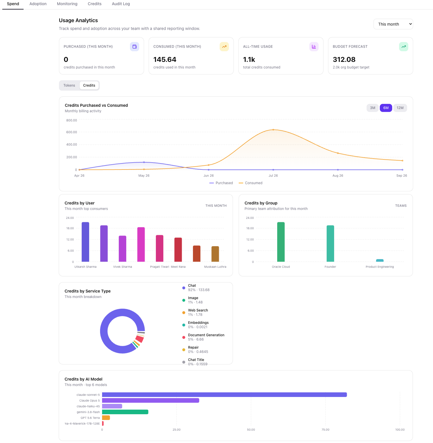 AskProso usage analytics showing credits purchased vs consumed, credits by user and group, service type breakdown, and top AI models by spend